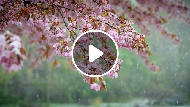 Snow in may, snow, strange, weather, music, mood, nature, finland, nature travel. #0