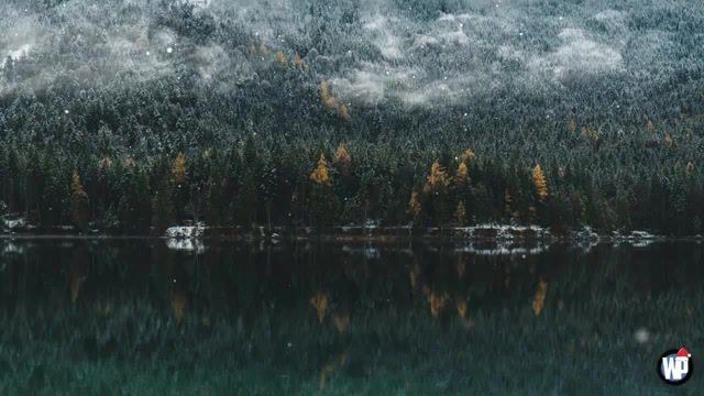 Winter - Video & GIFs | nature travel