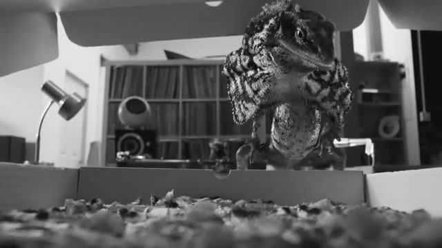 Pepperoni, wtf, viral, vine, cool, nature, lizard, delivery, pepperoni and mushrom, artistic, funny, littlefrill, customer service, tv advert, tv ad, tv, dough balls, pizza man, pizza, black and white, firstdirect, food kitchen.
