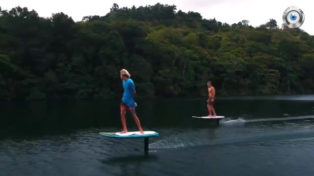 Amazing New Flying Surfboards Can Fly Over Water - Video & GIFs | the most beautiful,beautiful girls,deep sea,hurry up my husky,steal a steamer,fly over the sea,blonde crumbs,the most beautiful sea,surfboard,techinsider,eyetech,beach,technology sea,inside tech,best electric surfboards,new srfboards,efoil,fly over,surfboards,electric,nature travel