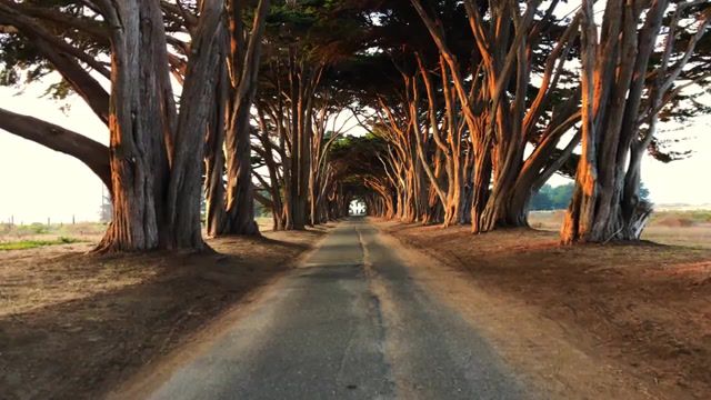 California - Video & GIFs | usa,california,time lapse,nature,san francisco,where is my mind,nature travel