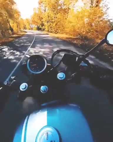Motorbike freedom, Motorcycle, Moto, Autumn, Roadtrip, Nature Travel