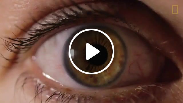 Eyes, tired, explosions in the sky, post rock, national geographic documentary, youtube, nature, microscope, visual, cool, beautiful, iris, retina, health, inflammation, blood pressure, diabetes, close up, macro, eyeballs, eyes, national geographic, nature travel. #0