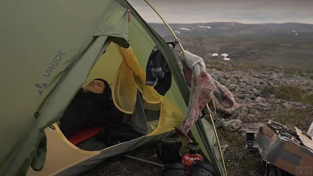 Camping alone in the finnish countryside, eleprimer, cinemagraph, purple, live pictures.