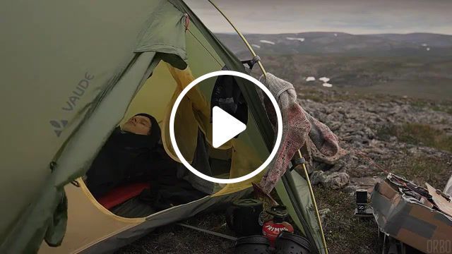 Camping alone in the finnish countryside, eleprimer, cinemagraph, purple, live pictures. #0