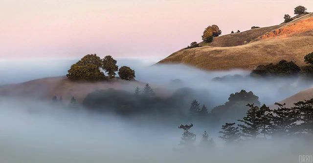 Fog on Mount Tamalpais, Timelapse, Clip, Animals, Utro, Midnight, Nice, Music, Eleprimer, Trick, Most, Power, Chill, Groovy, Free, Sound, Ambient, Trip, Scape, Land, Nature, Cinemagraphs, Cinemagraph, Orbo, Live Pictures