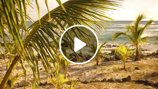 On the beach, on the beach, chris rea, caribbean, grand cayman, nature travel. #1
