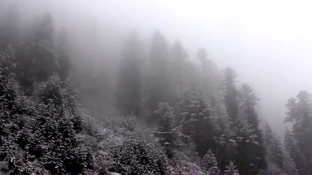 Winter mood, Snow White, Snowflake, Snow Falling, Snow Falling In Pakistan, Snowfalling In Murree, Naran Pakistan, Naran Kaghan, Naran In Winter, Naran Snow In, Naran, Kaghan, Snowfall, Winter, Winter Wonderland, Nature Travel