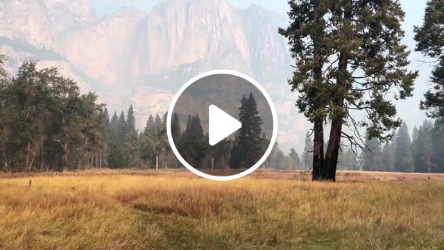 Yosemite, yosemite, park, wild, simba, nature travel. #0