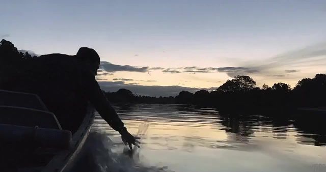 Evening on the Whanganui River, New Zealand, Cinemagraph, Cinemagraphs, Loop, Eleprimer, River, Live Pictures
