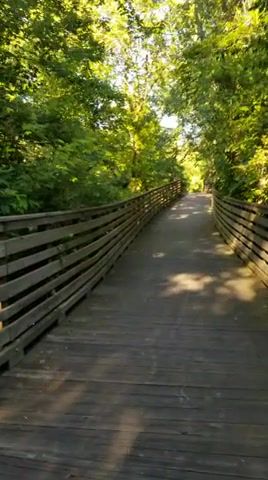 Long and Winding River Walk, Walk, Walking, Tennessee, Chattanooga, Riverwalk, Nature, Nature Travel