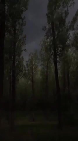Nature amaze - Video & GIFs | i am one of the people who loves this type of weather,ameno,era ameno,nature,nature and travel,woods,amazing,mesmerizing,beutiful,scary,climactic,nature travel