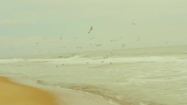 On the Crest of Waves, Gh3, Color, Grading, Ocean City, Vimeo, Mft, Autumn, Witchhouse, Music, Ocean, Nature, Cold, Sadness, Nature Travel