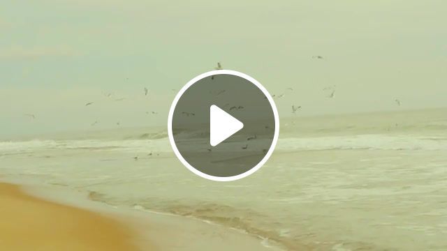 On the crest of waves, gh3, color, grading, ocean city, vimeo, mft, autumn, witchhouse, music, ocean, nature, cold, sadness, nature travel. #0