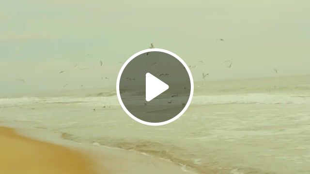 On the crest of waves, gh3, color, grading, ocean city, vimeo, mft, autumn, witchhouse, music, ocean, nature, cold, sadness, nature travel. #1