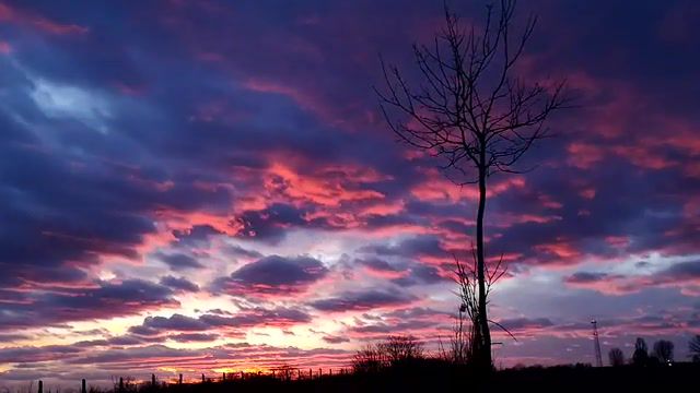 Sunset. Nature. Sun. Sunset. Clouds. Colour. Tree. Time Lapse. Chill. Nature Travel.