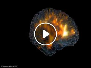 3d brain visualization how does the mind work
