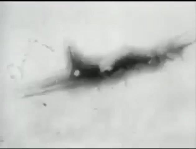 B 17 Flying Fortress Attacked by Messerschmitt bf109 - Video & GIFs | planes battle 2 worlds,battles 2 world war real,real,air battles,world war 2,planes,war in the sky,heavenly war,heavenly,clip,air clip,airy,cloudy,grandfather for victory,murder,pilots