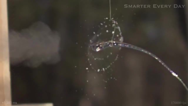 Bullet vs Prince Rupert's Drop at 150,000 fps Smarter Every Day 165, Smarter, Every, Day, Science, Physics, Destin, Sandlin, Education, Math, Smarter Every Day, Experiment, Nature, Demonstration, Slow, Motion, Slow Motion, Science Education, What Is Science, Physics Of, Projects, Experiments, Science Projects, Prince Ruperts Drop, Rupert's Drop, Phantom, Science Technology