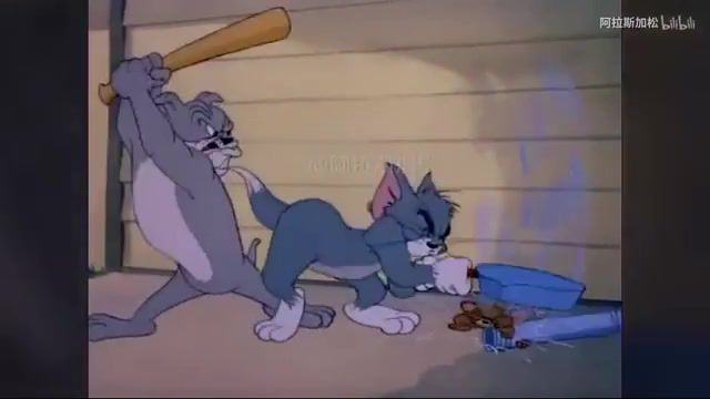 Iceland, Afk And Carbin Boss Monxx Remix, Music, Cartoon, Tom And Jerry
