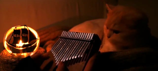 Pirates of the Caribbean, He's a Pirate Kalimba cover, Cat, Kalimba, Piratesofthecaribbean, He's Pirate, Pirates Of The Caribbean, Movietheme, Movie Ost, Music