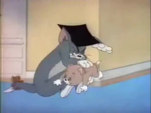Tom Screams, Kitten, Kitty, Dog, Cat, Mouse, Lol, Fun, Laugh, Ampotheking, Matt444444, Movie, Short, Funny, Cartoon, Animation, Jeery Mouse, Compilation, Scream, Jerry, And, Tom, Tom And Jerry, Cartoons