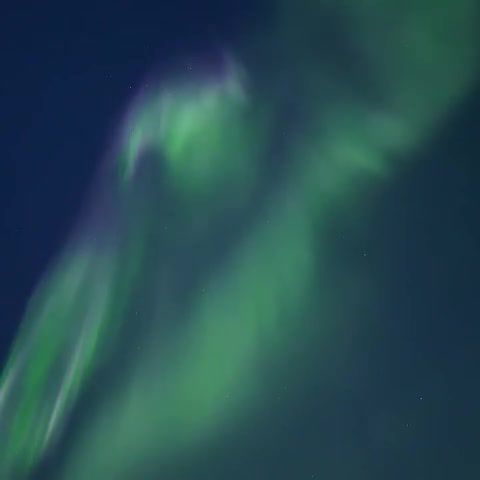 Aurora borealis lights Lofoten Islands, Nature Travel