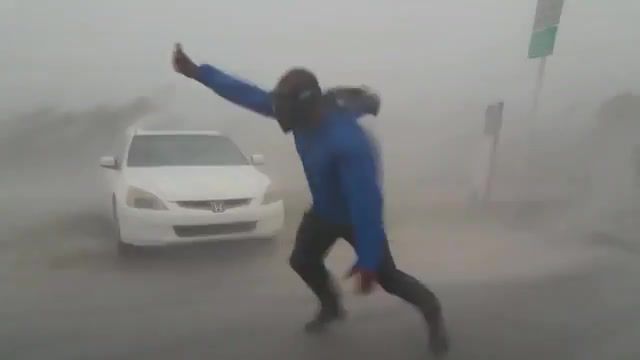 Checking wind speed - Video & GIFs | wind,of the day,hurricane,irma,weather,weatherman,crazy,extreme,extreme weather,extreme travel,wtf,prank,wild,wow,omg,nature travel