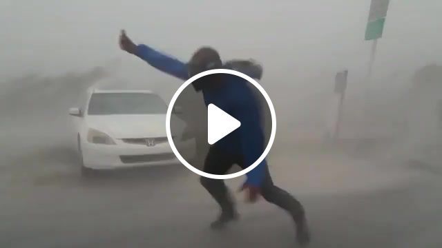 Checking wind speed, wind, of the day, hurricane, irma, weather, weatherman, crazy, extreme, extreme weather, extreme travel, wtf, prank, wild, wow, omg, nature travel. #0