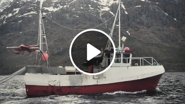 Iceland o futurism 188, commercial fishing, sport fishing, fishing, kaleo music, kaleo iceland, kaleo, o futurism, foxist, down we go, sea, nature travel. #0