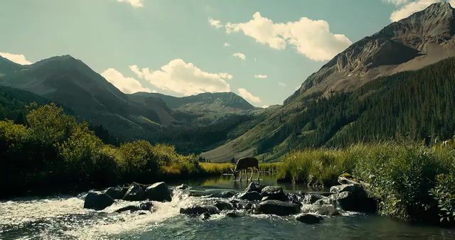 Peace, Cinemagraphs, Cinemagraph, Peace, Coen Brothers, The Ballad Of Buster Scruggs, Movies, Gifs, Wilderness, Nature, Live Pictures