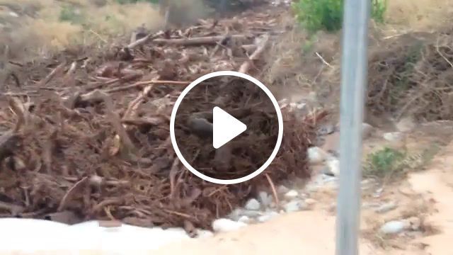 This is what a flash flood looks like, the interesting times gang, climate change, bad weather, weather, warning, emergency, trees, mud, dirt, flash flood, nature travel. #0