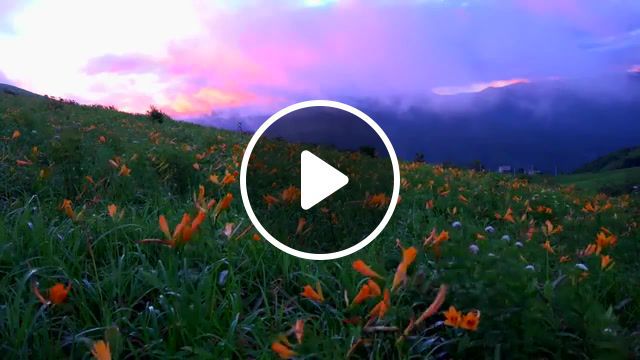 A new hope, a new hope, haruyuki onoue, flower, hill, moutain, sunset, evening, nature of japan, nature gifs, nature, new, like, music, japan, beauty, clouds, super, wonderful, spring, nature travel. #0