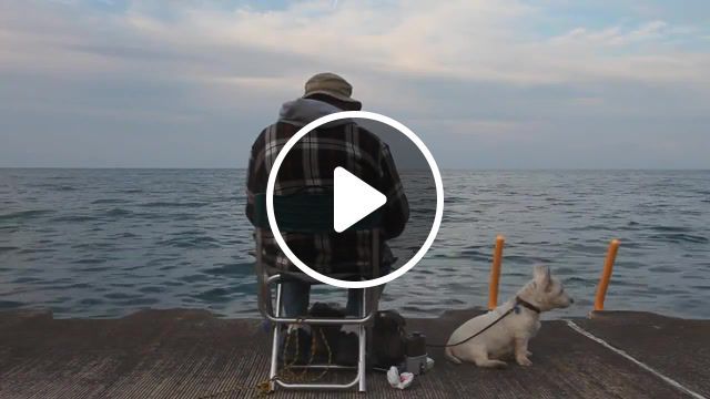 Old age, dog, j s bach, nature travel. #0