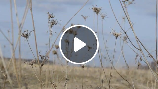 Sound of wind, nature travel. #0