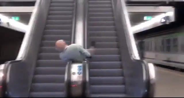 Confounded escalators, Nature Travel
