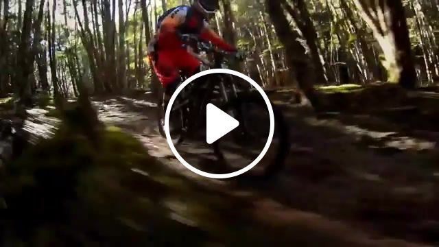 Mountainbike, speed, jump, forest, mountain bike, sport, stimulus, extreme, sports. #0