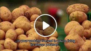 My life is potato