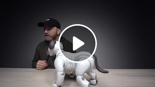 The s3000 sony aibo robot dog, aibo review, aibo unboxing, sony aibo review, sony aibo unboxing, review, unboxing, unboxtherapy, ai, dogs, pet, robot dogs, futuristic, future, inventions, invention, cool inventions, aibo robot, sony robot, sony aibo robot, gadgets, gadget, cool robot, technology, tech, cool gadgets, cool, sony dog, artificial intelligence, unbox therapy, robot pet, sony robot dog, robotic dog, sony aibo dog, aibo robot dog, robot dog, dog, robotics, robotic, robot, aibo, sony, sony aibo, science technology. #0
