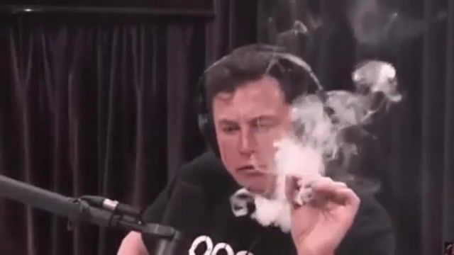 Elon Musk no scope 420, Celebrity