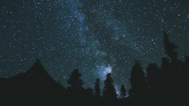 Night Stars TimeLapse, Forest, Ppk, Infinity, Solar System, Planet Earth, Planet, Universe, Space, Stars, Night, Nature Travel