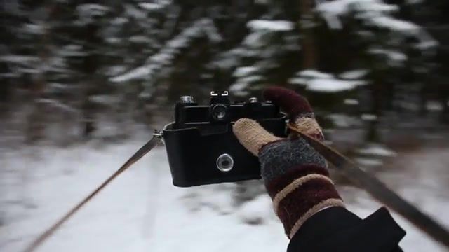 Winter is coming, bitter sweet symphony, spin, camera, hand, winter, forest, snow, nature travel.