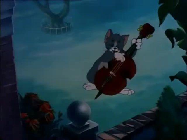 Is you is, or is you ain't my baby, tom and jerry, animation, solid serenade, cartoons.