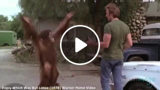 Clint Eastwood shot the orangutan