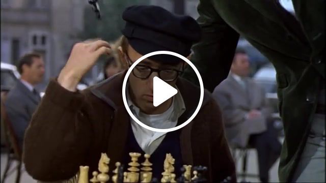 Chess cheat, what's new cat, woody allen, movies, movies tv. #0