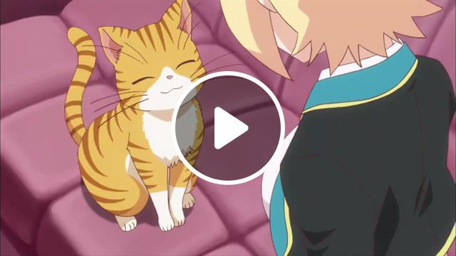 Meow meow, anime, anime kawaii nya, anime kawaii, cat. #0