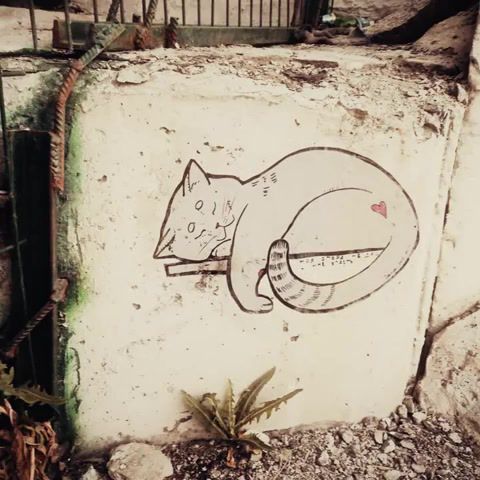 Just Cat Street Art, Cat, Purring, Sergey Babkin Cat, Animation, Street Art, Animated, Visual Necromancy, Art, Art Design