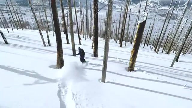 Best surfing ever, Pow Surf, Colorado, Snow, Forest, Drone, Relax, Nature Travel