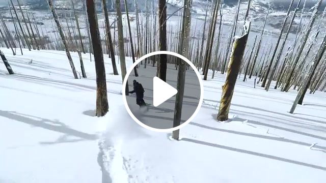Best surfing ever, pow surf, colorado, snow, forest, drone, relax, nature travel. #1