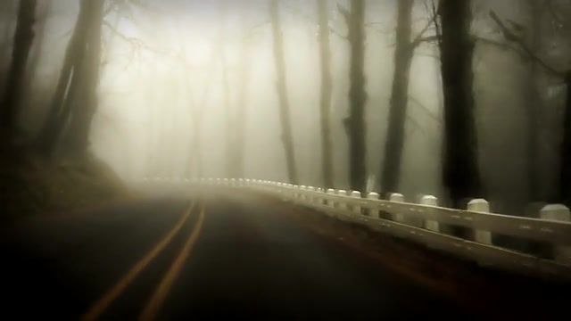 Last road, Time Travel, Road Trip, Planet Earth Is Fine, Planet Earth, Moby, Oregon, Multnomah Falls, Fog, Mystic, Road, Nature Travel